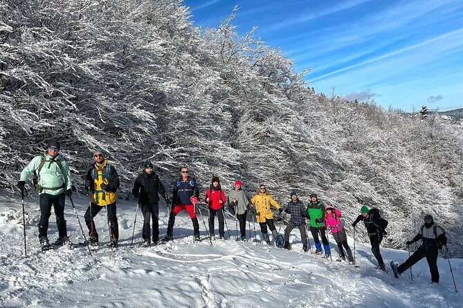 Experience Snowshoeing in Olympic Mountain Bjelašnica - From Sarajevo to Babin do: the ride that makes the day work