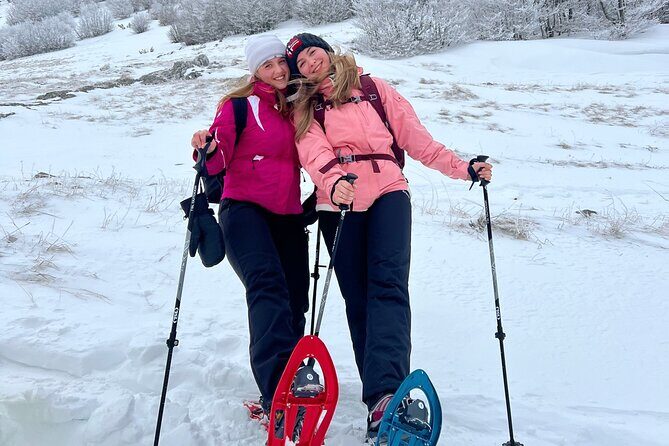 Experience Snowshoeing in Olympic Mountain Bjelašnica - Price and logistics: who this is great for (and who should rethink it)