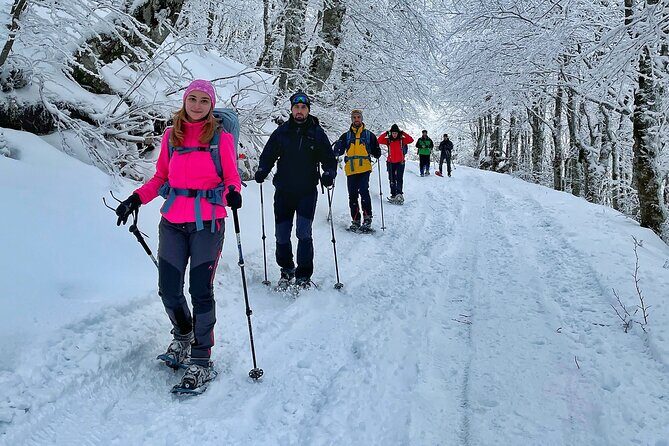 Experience Snowshoeing in Olympic Mountain Bjelašnica - The route on Bjelasnica: Kolijevka trail to the Heliodrom area