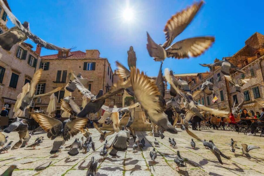 From Makarska Riviera : Dubrovnik Small Group Tour - What’s actually included (and what you’ll likely handle yourself)