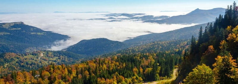 From Sarajevo: Olympic Mountains Private Trip - The guide experience: English, passion, and tailoring