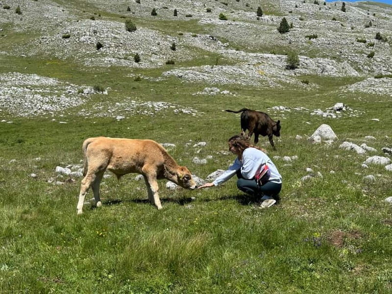 From Sarajevo: Private Lukomir Village 4x4 Safari - Guides Matter: Gigi and Faris Make the Day Feel Personal