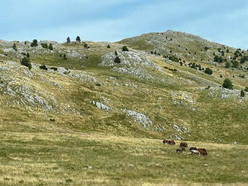 Hiking around Sarajevo: Lukomir Village Full Day Hiking Tour - Key things that make this Lukomir hike worth your day