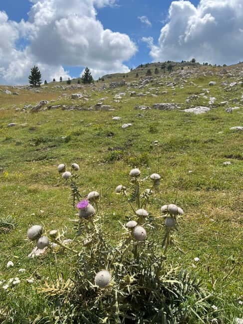 Hiking around Sarajevo: Lukomir Village Full Day Hiking Tour - Price and value: what you’re really paying for at $84