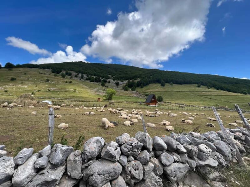Hiking around Sarajevo: Lukomir Village Full Day Hiking Tour - Who this Lukomir tour is best for (and who should skip it)