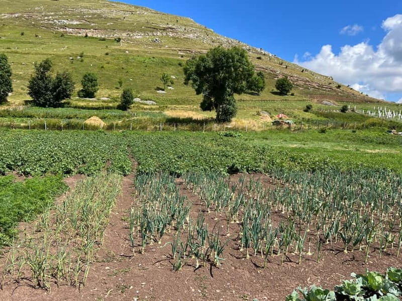 Hiking around Sarajevo: Lukomir Village Full Day Hiking Tour - What to pack so your day stays comfortable