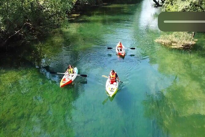 Safari kayak adventure w BBQ & Beer - Cold River Camp Briefing: Safety First, Then You Paddle