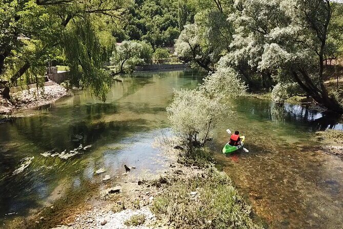 Safari kayak adventure w BBQ & Beer - Beer, Juice, and What the Host Brings to the Day