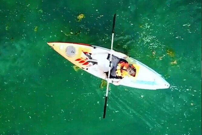 Safari kayak adventure w BBQ & Beer - Value Check: Why This $52.68 Day Feels Fair