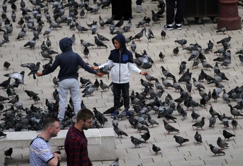 Sarajevo: Best of Sarajevo – Ultimate Full-Day Experience - War Tunnel Museum and the Tunnel of Hope walk: resilience you can feel