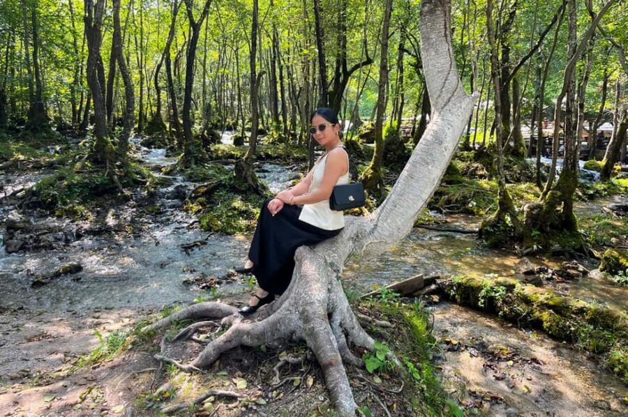 Sarajevo: Jajce Waterfall, Travnik & Pliva Lake Tour - Travnik, Jajce, Pliva Lakes in one day: why the itinerary works