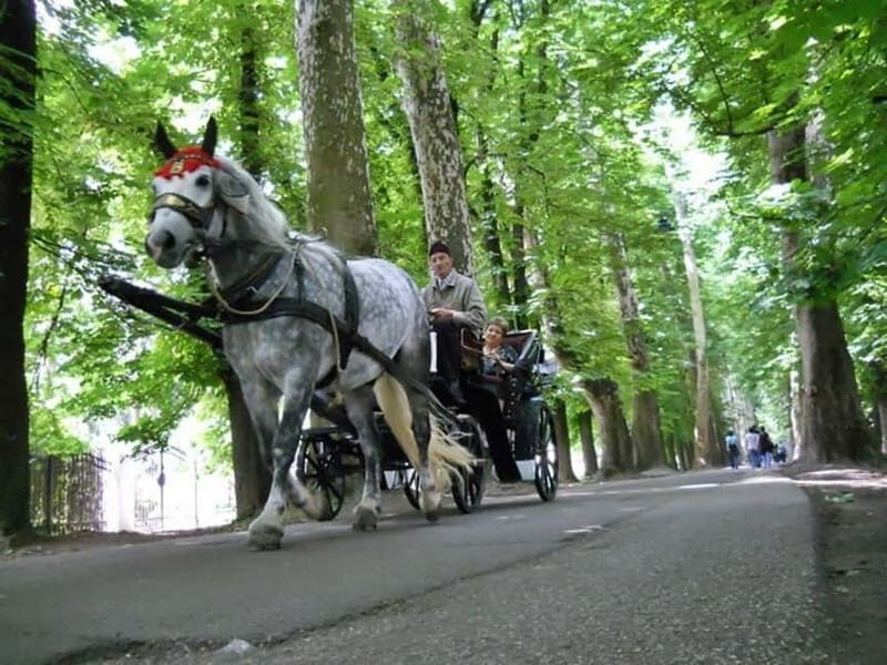Sarajevo: Vrelo Bosne Nature Park Private Tour - From Sarajevo’s streets to cool spring air in 30 minutes