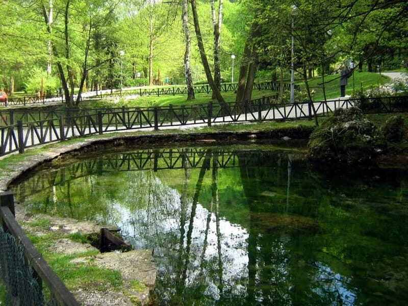Sarajevo: Vrelo Bosne Nature Park Private Tour - Velika aleja and the optional horse carriage ride