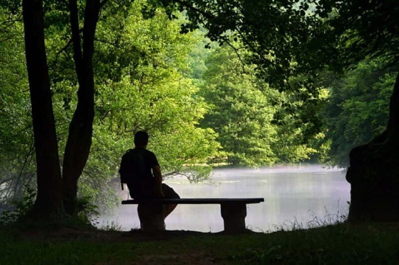 Sarajevo: Vrelo Bosne Nature Park Private Tour - Vrelo Bosne itself: springs, swans, walking paths, and breaks