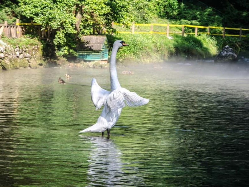 Sarajevo: Vrelo Bosne Nature Park Private Tour - What makes the Vrelo Bosna area feel family-friendly