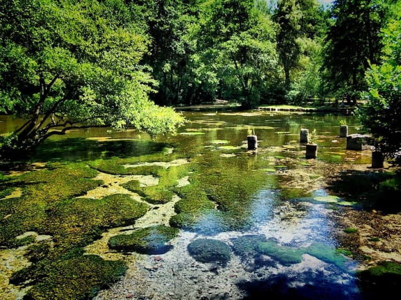 Sarajevo: Vrelo Bosne Nature Park Private Tour - Price and value: what $82 covers (and what to budget for)