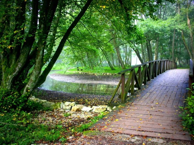 Sarajevo: Vrelo Bosne Nature Park Private Tour - What to bring, and the few rules that affect your day