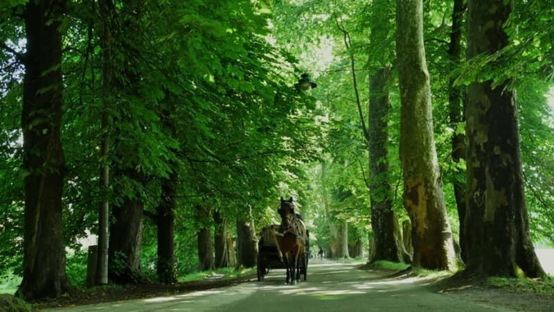Sarajevo: Vrelo Bosne Nature Park Private Tour - Who this Sarajevo nature tour is best for