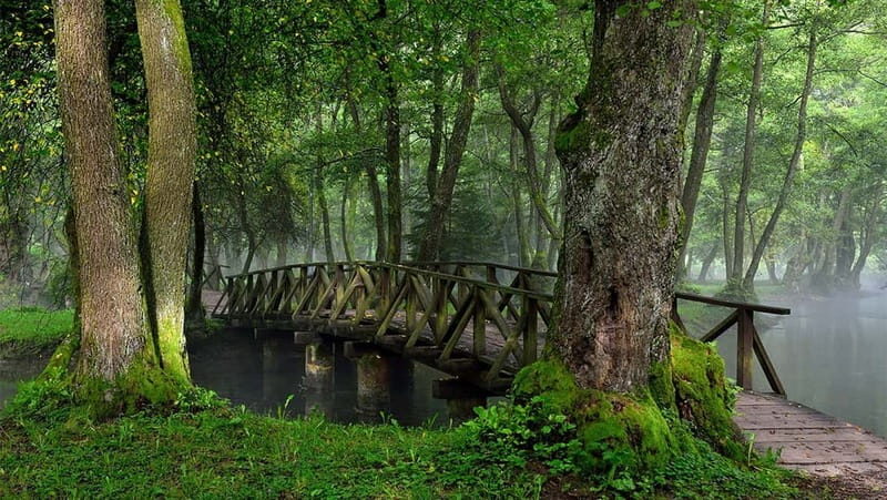Sarajevo: Vrelo Bosne Nature Park Private Tour - Pickup in Sarajevo, then a scenic pass through Ilidža