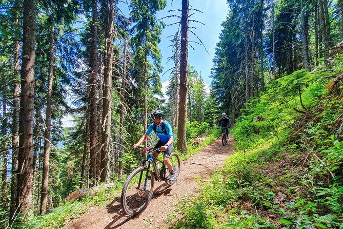 Trebevic Mountain Biking Tour from Sarajevo - Bobsleigh Track - The ride down: forests, mixed surfaces, and guide-led speed